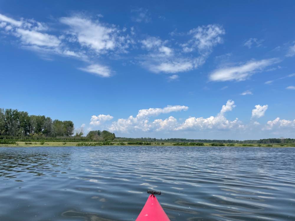 water landscape taken from kayak